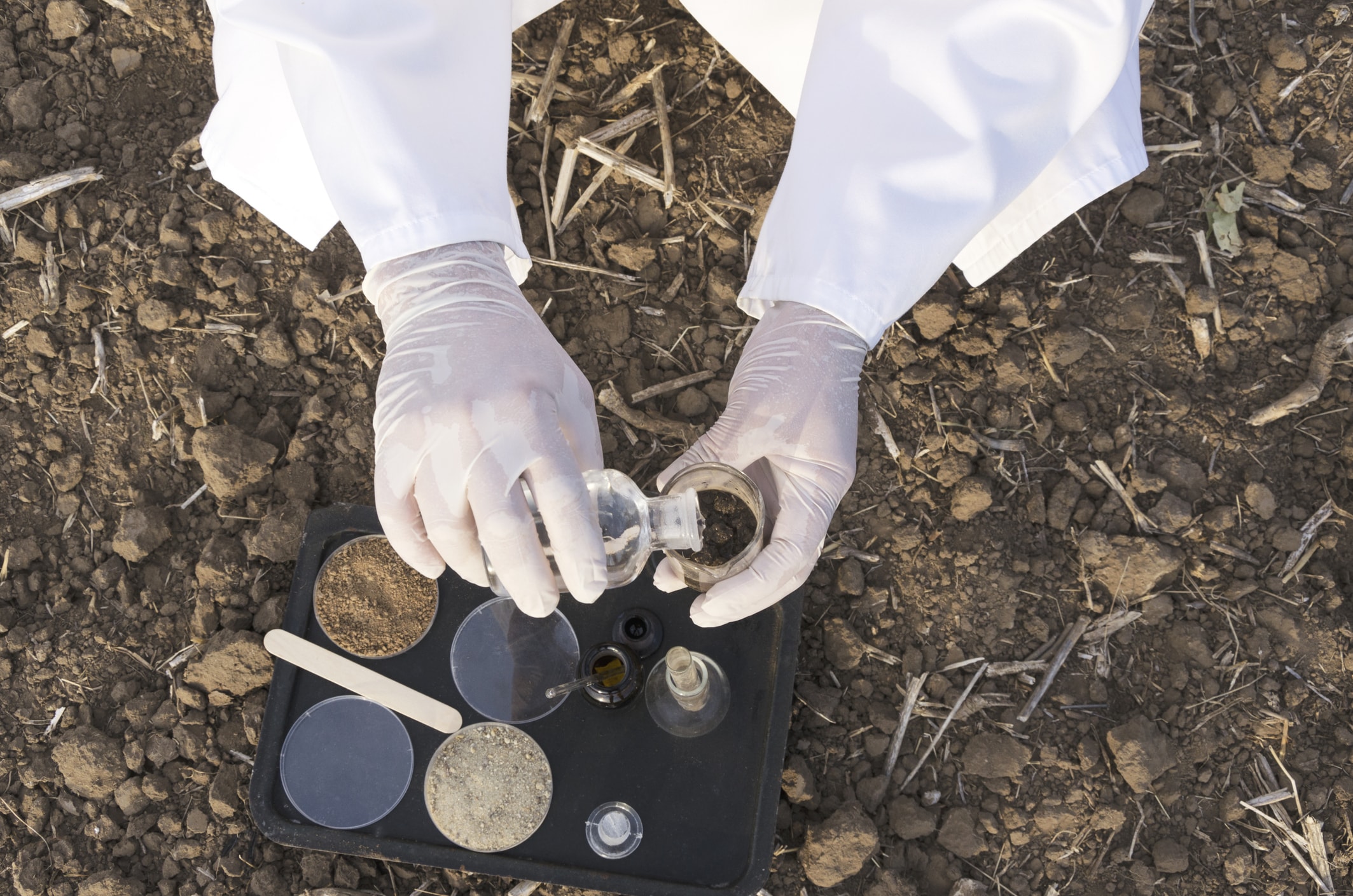 soil-testing